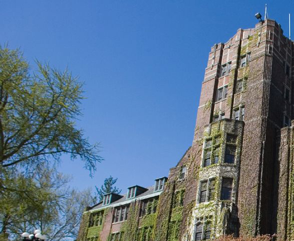 1531989910528130XcPD.png 圖片2.png