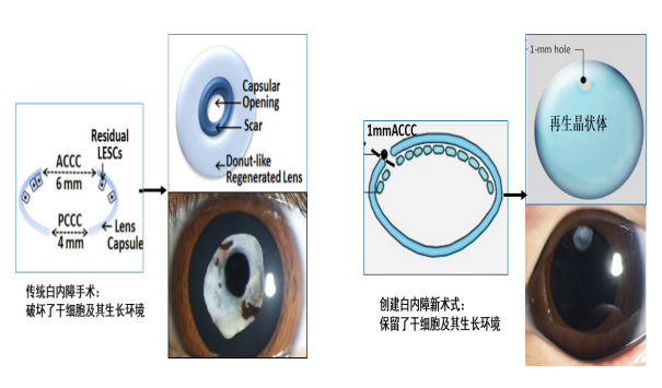 15319910476887626I3k.png 圖片18.png