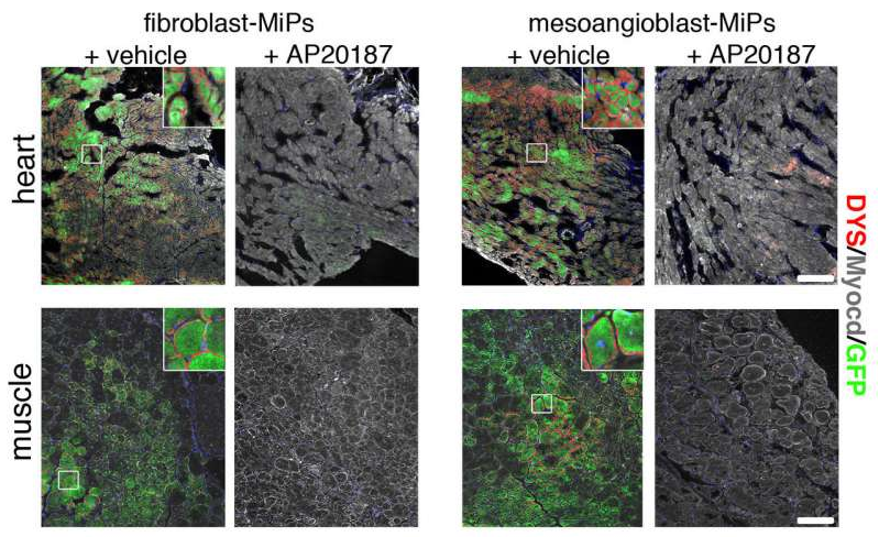 1531992323271279Iu5c.png 圖片46.png