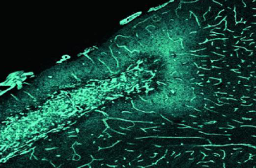 1532048953259022LIts.png 圖片78.png