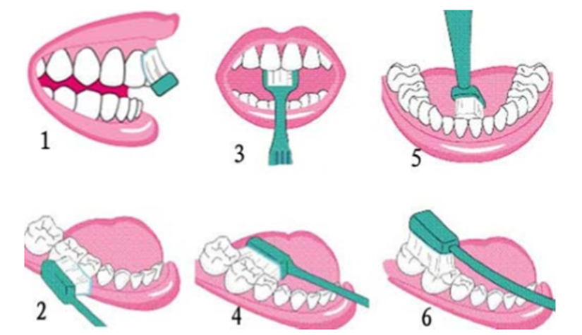 1531998376621015zSMo.png 3.png