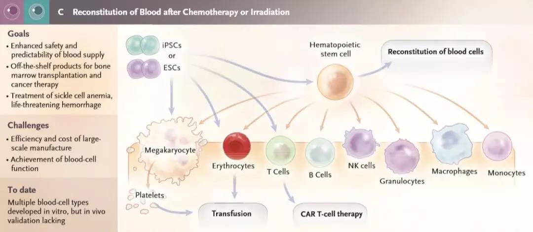 1557363262226275Fc6R.jpg 微信圖片_20190509085410.jpg