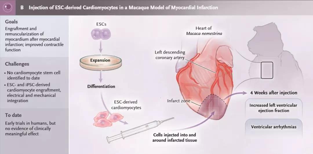 1557363330313152THjp.jpg 微信圖片_20190509085519.jpg