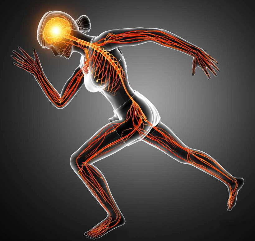 1557371491930317iPzG.png 圖片3.png