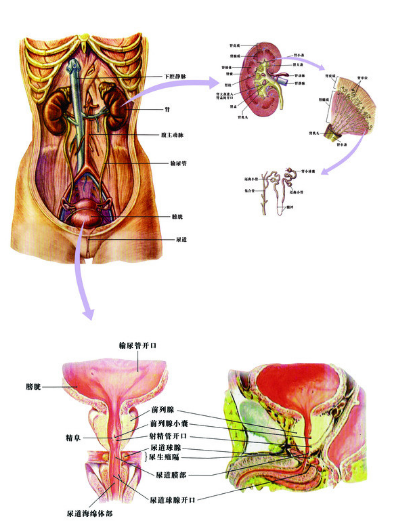 1557371633582909iYn2.png 圖片11.png