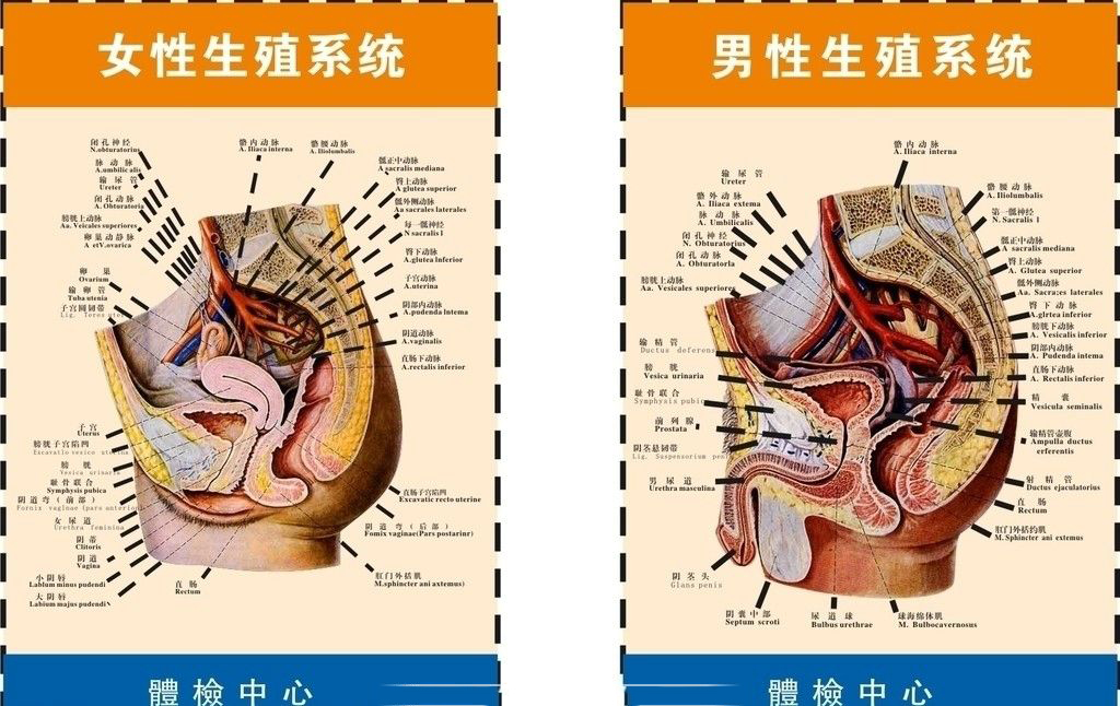 1557371682827321Nxki.png 圖片12.png