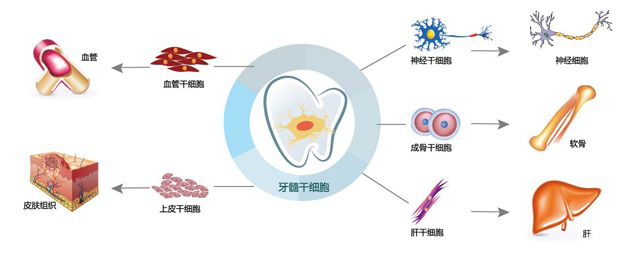 1563932430542322U1Pf.png 圖片3.png