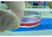 156393382993468035yF.jpg 20190717122432607.jpg